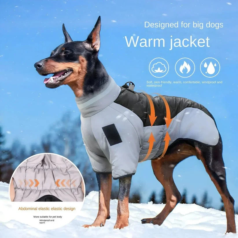 Winter Dog Jacket