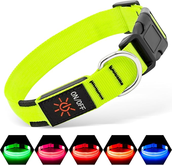 Luminous Dog Collar