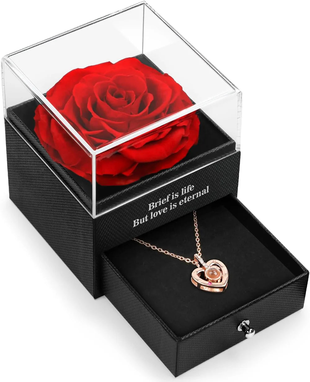 Eternal Rose With Necklace