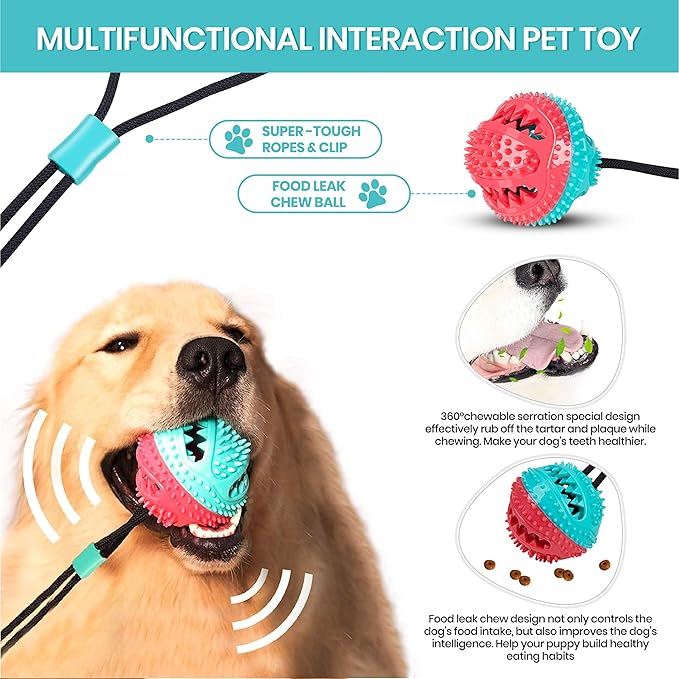 Suction Cup Tug Toy