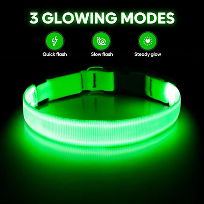 Luminous Dog Collar