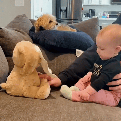 Peek-a-Boo Bear