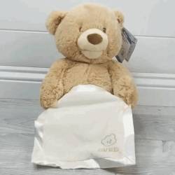 Peek-a-Boo Bear
