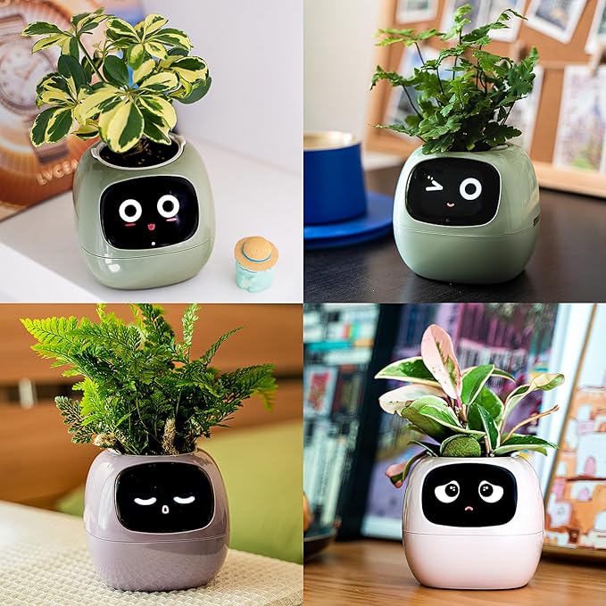 Pet Plant - AI Based Mini Pot