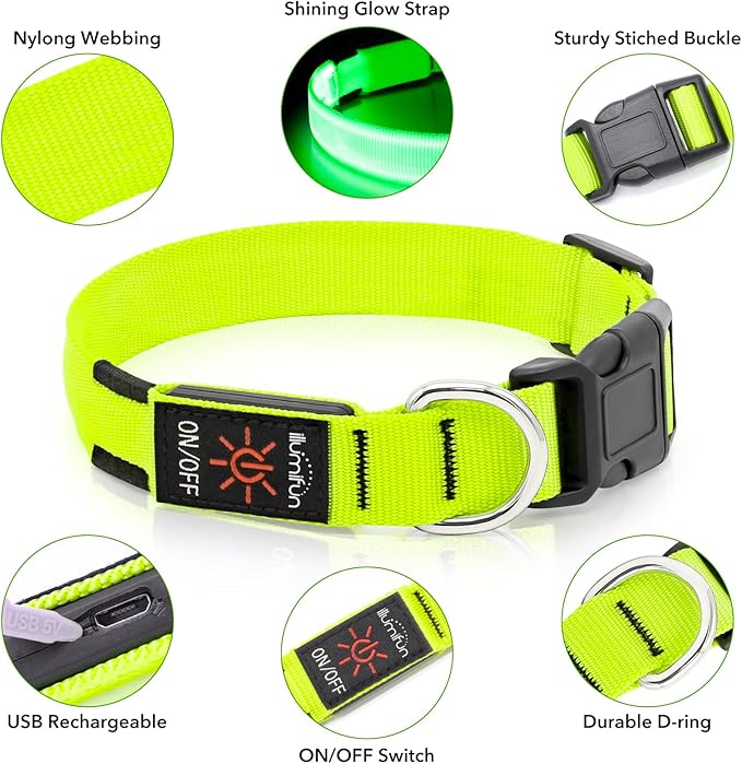 Luminous Dog Collar