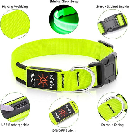 Luminous Dog Collar