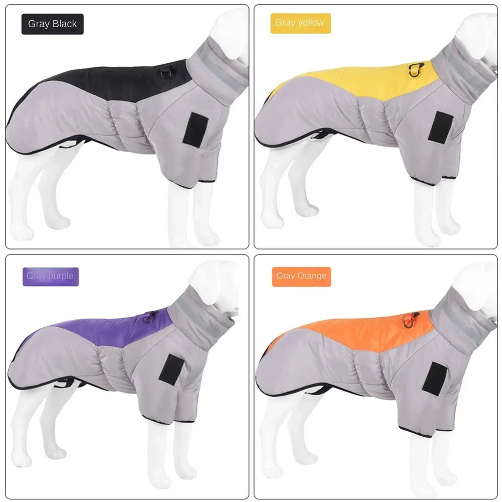 Winter Dog Jacket