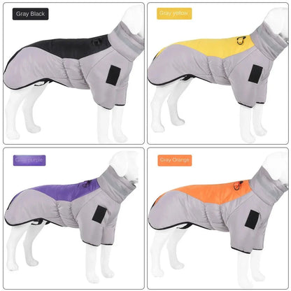 Winter Dog Jacket