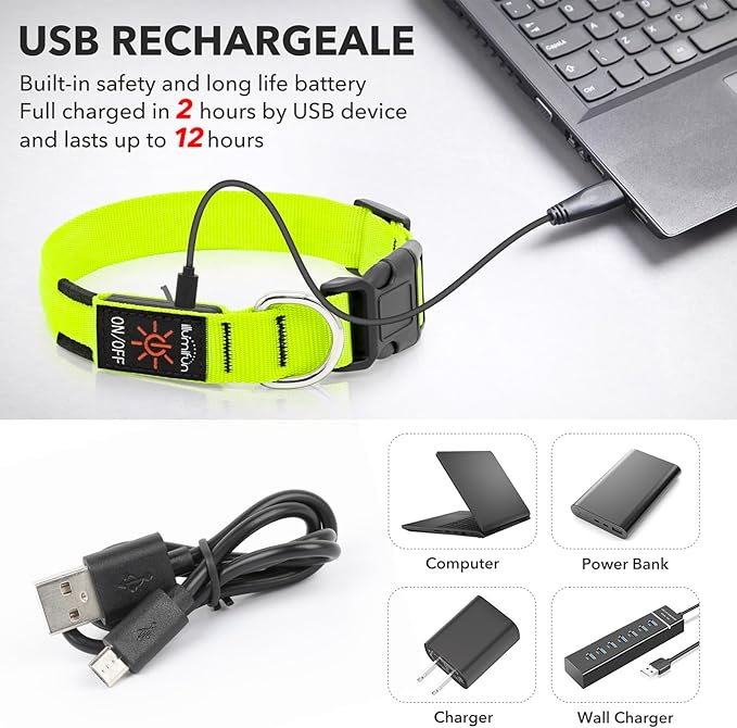Luminous Dog Collar