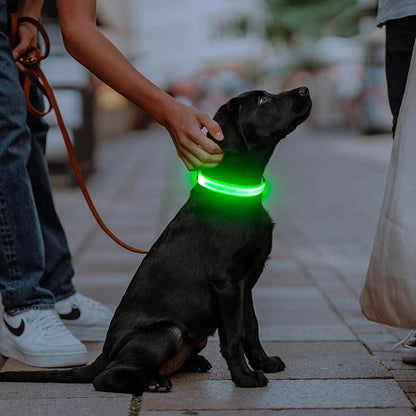 Luminous Dog Collar