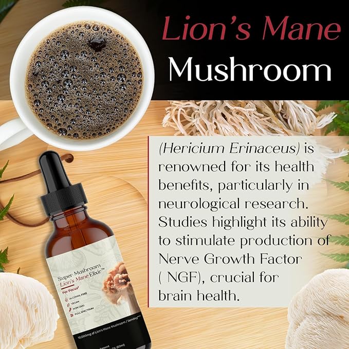 Super Mushroom Lion's Mane Elixir