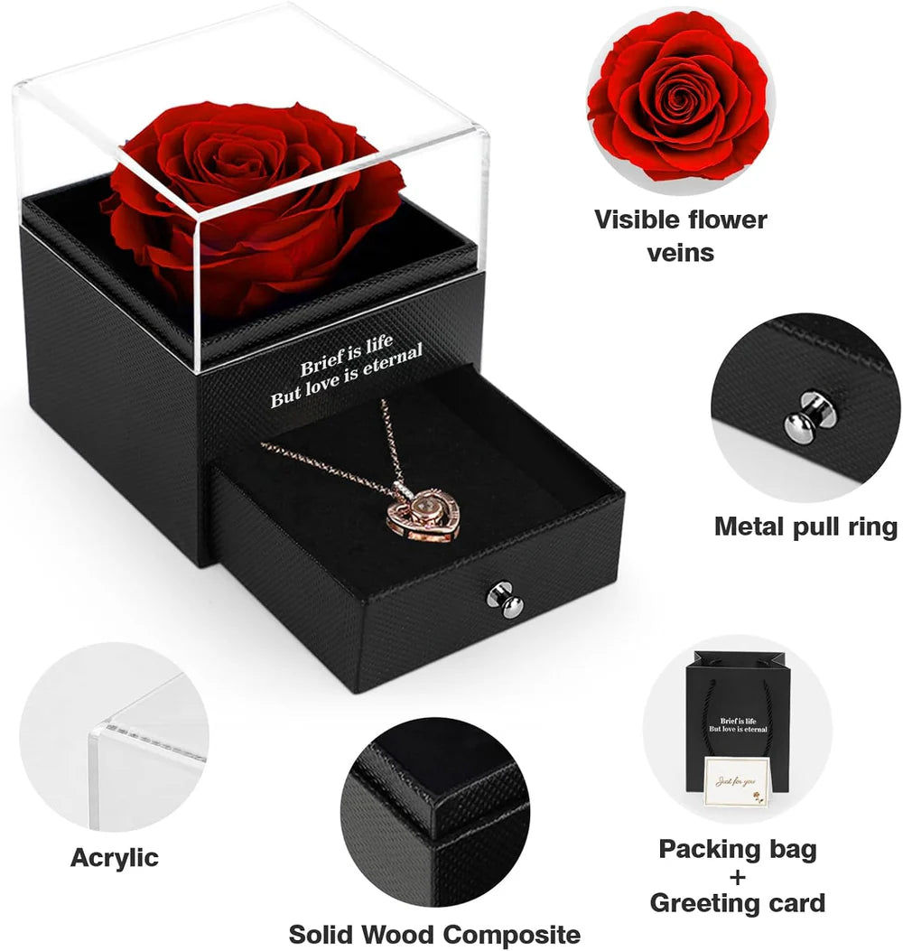 Eternal Rose With Necklace