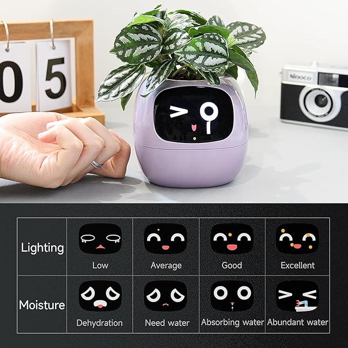 Pet Plant - AI Based Mini Pot