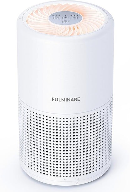 Pet Air Purifier