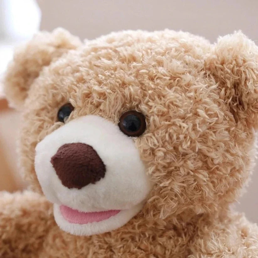Peek-a-Boo Bear