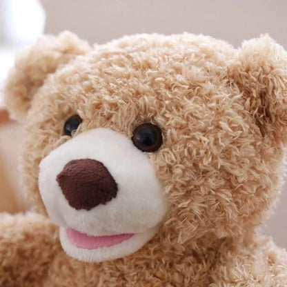 Peek-a-Boo Bear