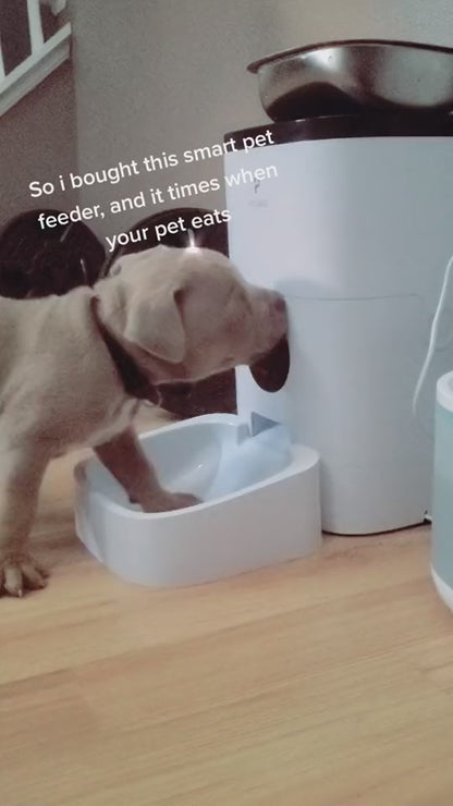 Automatic Pet Feeder with WiFi