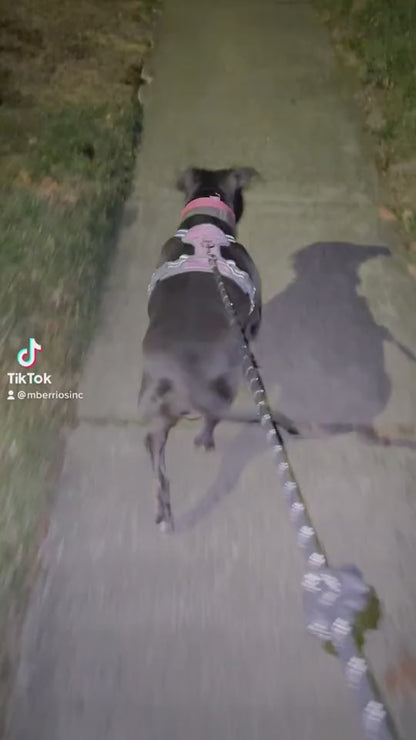 Luminous Dog Collar