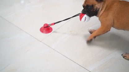 Suction Cup Tug Toy