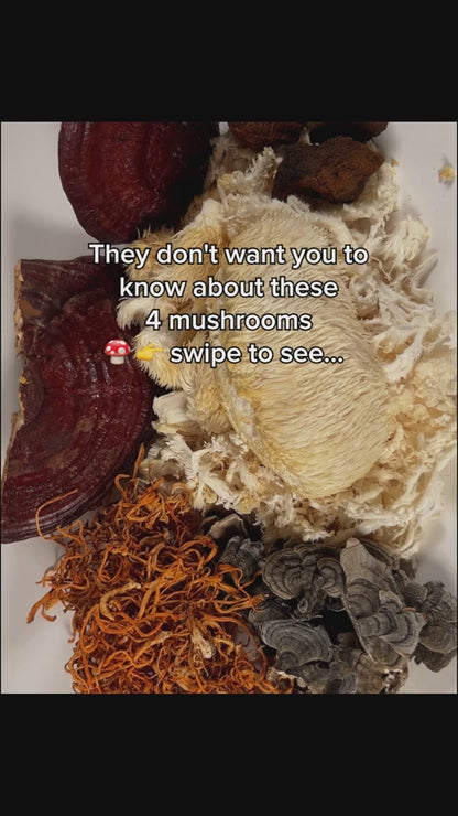 Super Mushroom Lion's Mane Elixir