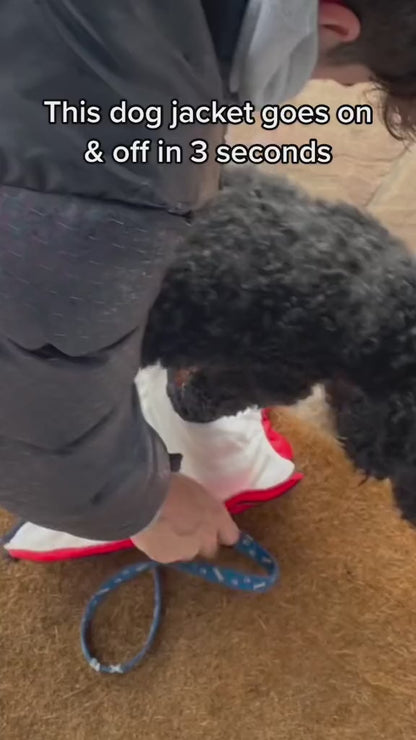 Winter Dog Jacket