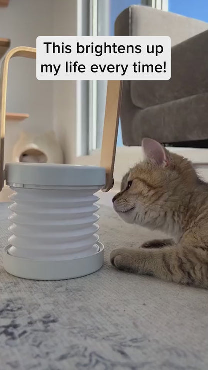 Collapsible Lamp