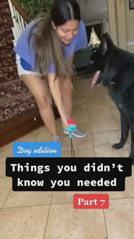 Suction Cup Tug Toy