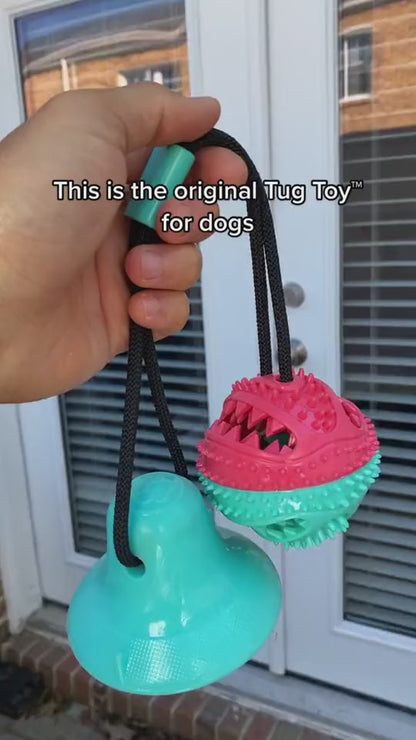 Suction Cup Tug Toy
