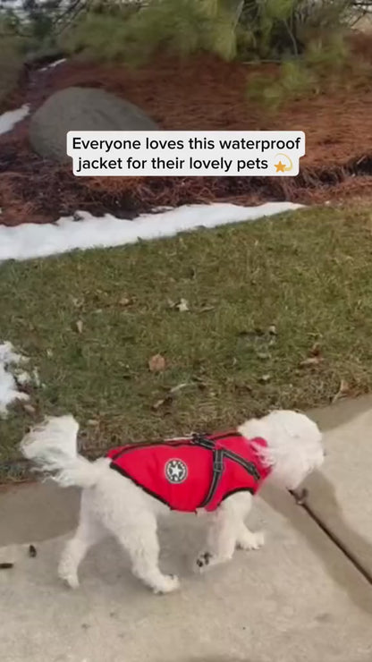 Winter Dog Jacket