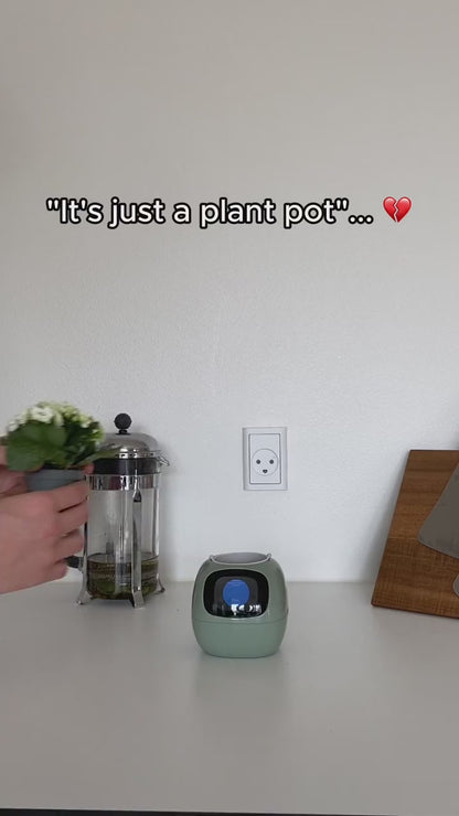 Pet Plant - AI Based Mini Pot