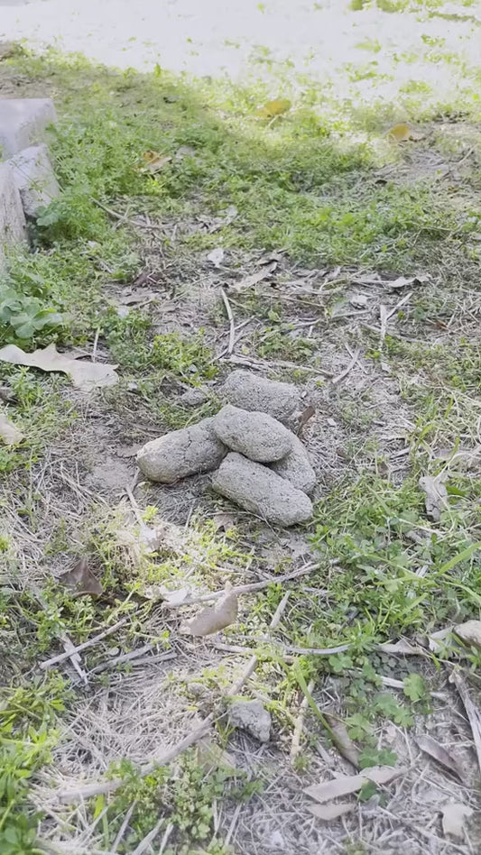 Dog Pooper Scooper Portable Claw