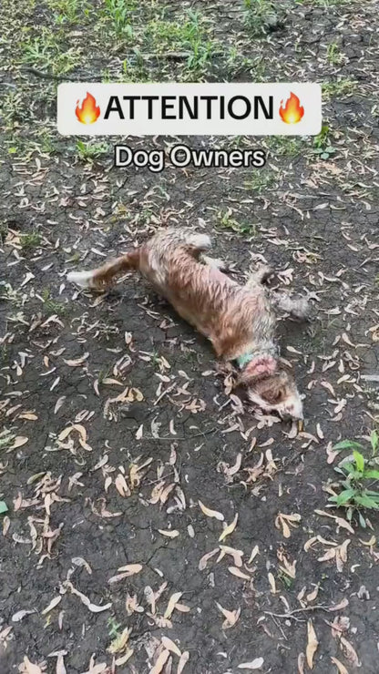Pet Bathing Tool